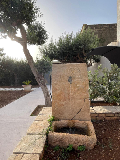 Others 5, Olea, Trapani