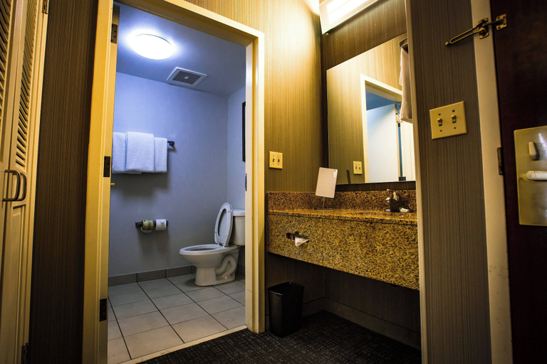 Bathroom 4, Courtyard by Marriott Memphis East/Bill Morris Parkway, Shelby