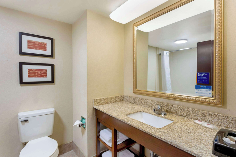 Bathroom 4, Comfort Inn & Suites Carneys Point Area, Salem