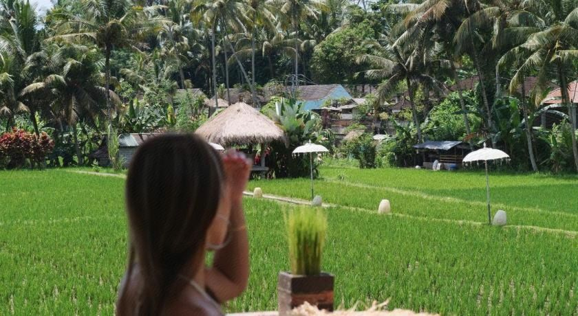 Others 3, Mathis Retreat Ubud, Gianyar