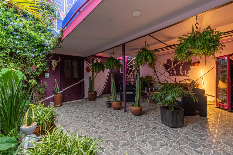 Public Area 3, Posada Bugambilia, Mexico City