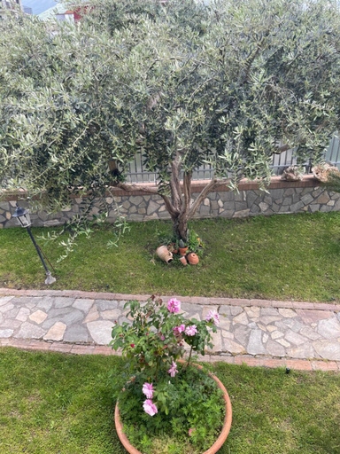 Others 4, B&B Alba, Napoli