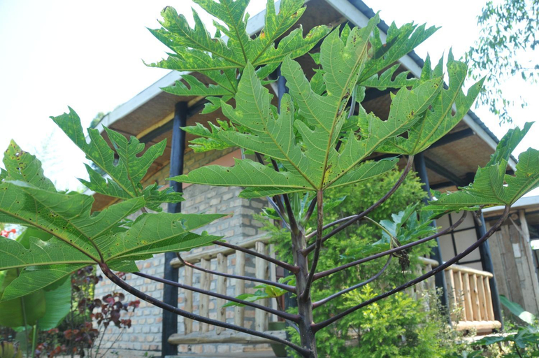 Others 5, Muga Eco Village, Igara