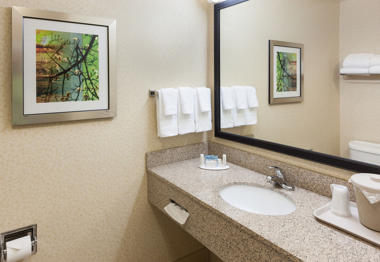 Bathroom 5, Fairfield Inn & Suites Ruston, Lincoln