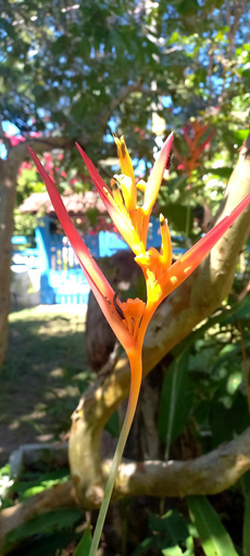 Others 3, Hostel do Bem-Viver, Conceição da Barra