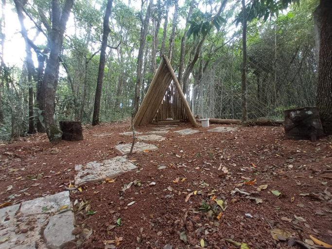 Others 5, Casa da Floresta, Lavras
