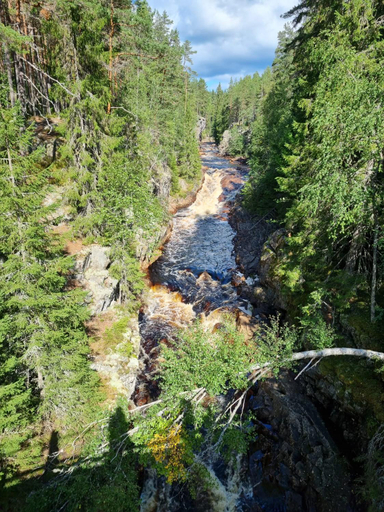 Others 3, Nastorp broa, room 2, Hagfors
