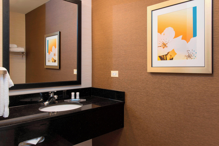 Bathroom 4, Fairfield Inn & Suites Chicago St. Charles, Kane