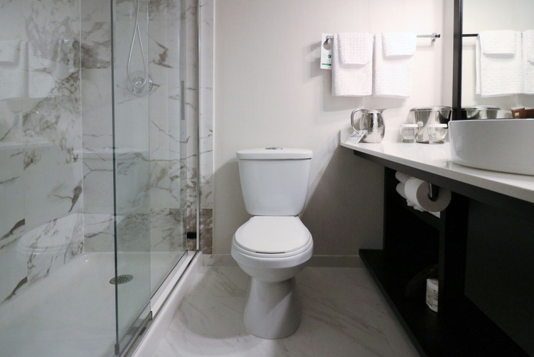 Bathroom 4, Best Western Plus Sands, Greater Vancouver