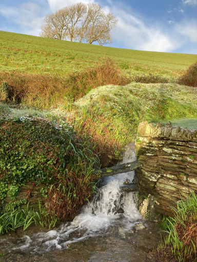 4, Shute Farm, Devon