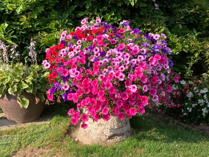 3, Shute Farm, Devon
