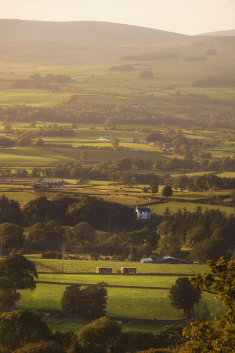 Others 4, Slemish Hideaway - Funky Pheasant, Mid and East Antrim
