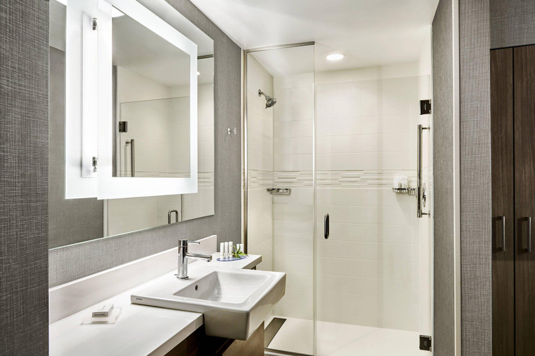 Bathroom 4, SpringHill Suites by Marriott Newark Downtown, New Castle