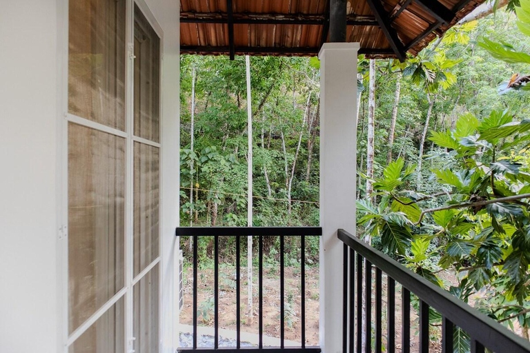Public Area 2, Secluded Forest Escape, Peechi, Thrissur
