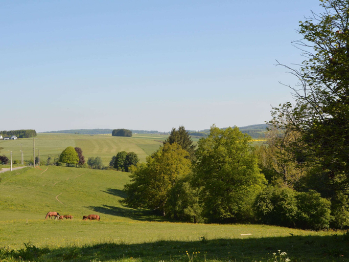Others 4, Farmhouse in Basse-Bodeux near forest, Liège