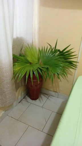Others 2, AFRIEUROTEXT Kamerun-High Standing-Appartements-Wifi-Security-Restaurant-modern Kitchen, Mfoundi