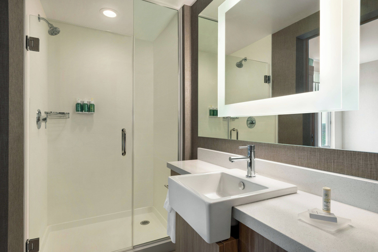 Bathroom 4, SpringHill Suites by Marriott Milwaukee West/Wauwatosa, Milwaukee