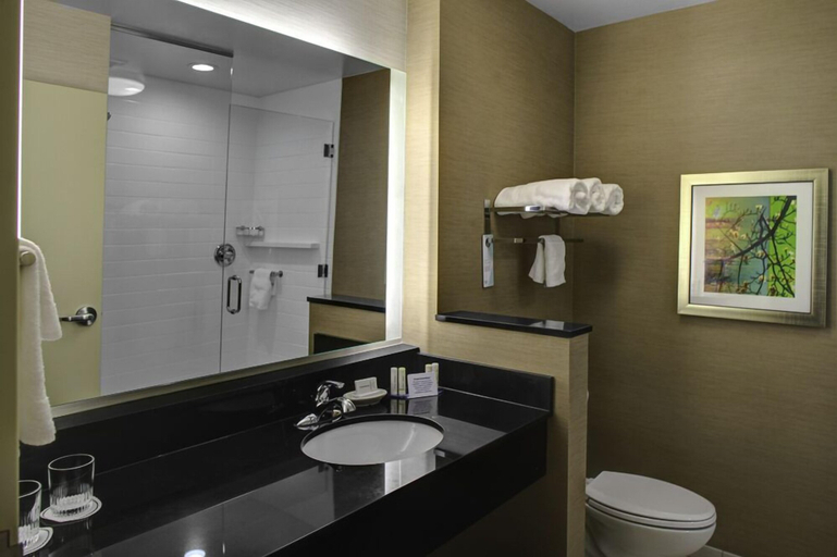 Bathroom 4, Fairfield Inn & Suites by Marriott Douglas, Coffee