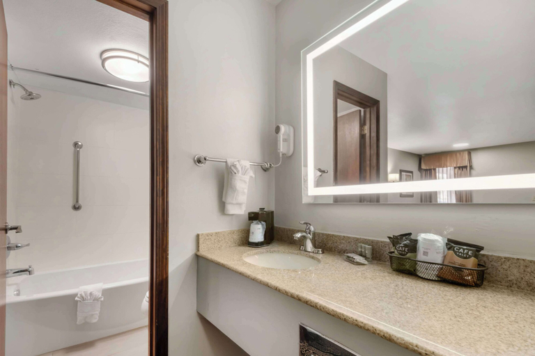Bathroom 5, Best Western Red Carpet Inn, Deaf Smith