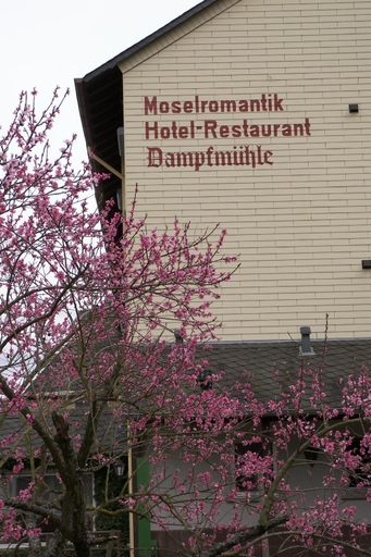 Others 5, Hotel Dampfmuhle, Bernkastel-Wittlich