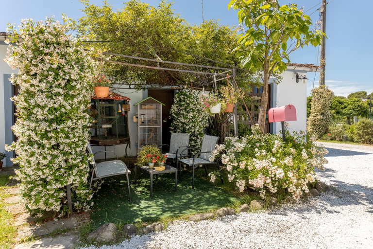 Others 5, B&B Il Ramaiolo, Pisa