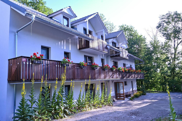 Others 3, Sobe GRAJSKA, Bled