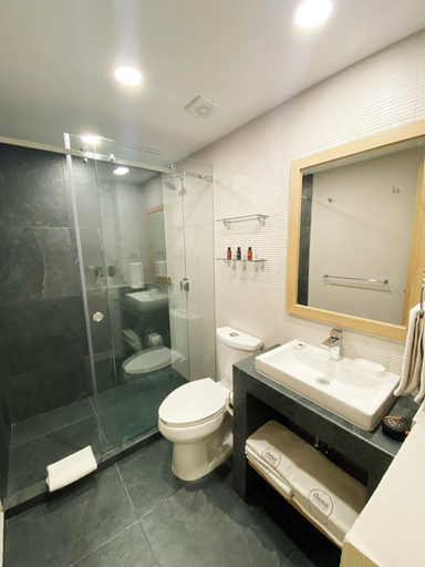 Bathroom 4, Hotel Canada Central, Mexico City