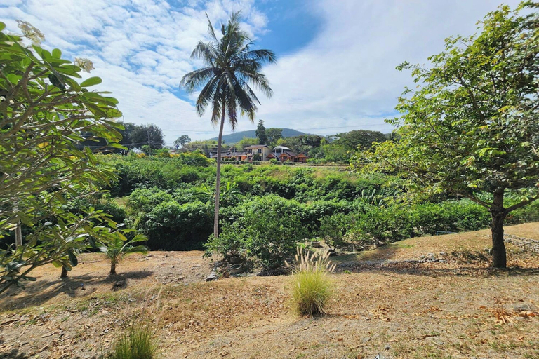 Scenery 24