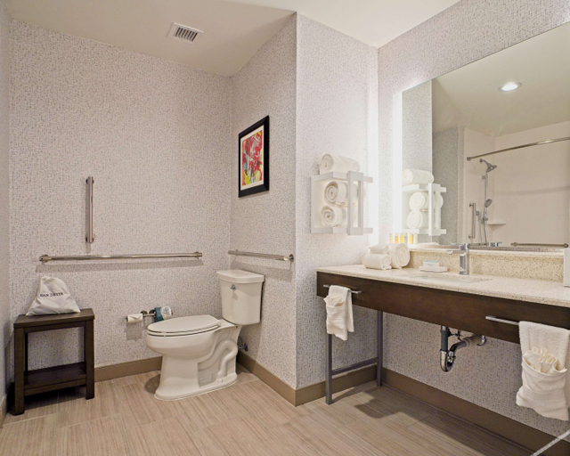Bathroom 4, Hampton Inn & Suites By Hilton Lubbock University, Lubbock