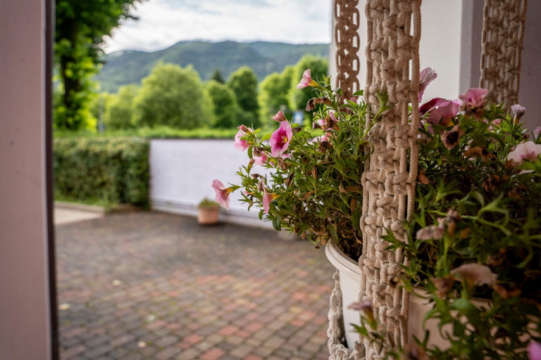 Garden, Villa Teresa, Pordenone
