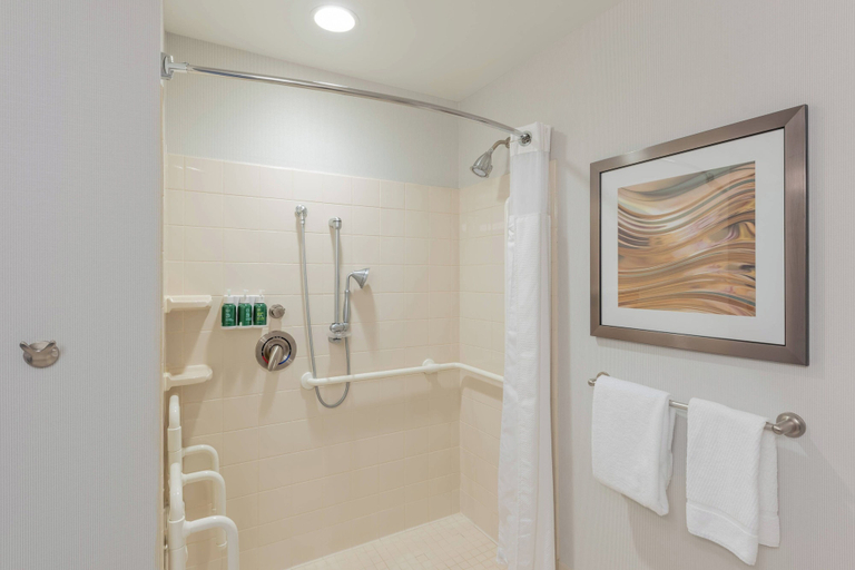 Bathroom 4, Courtyard by Marriott Greenville Downtown, Greenville