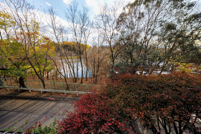 Scenery 18