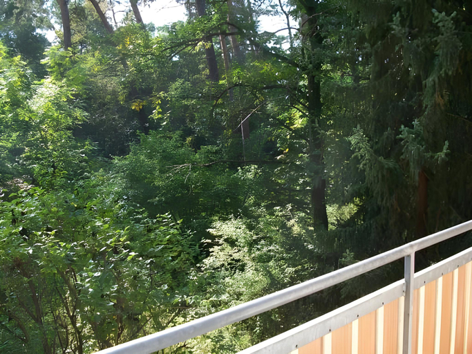 Scenery