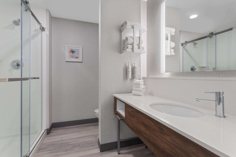 Bathroom 4, Hampton Inn & Suites Lincoln - Northeast I-80, Lancaster