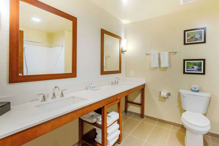 Bathroom 5, Comfort Suites Burlington near I-5, Skagit