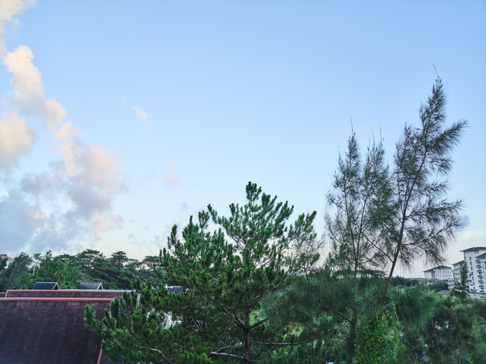 Others 5, ima villa, Onna
