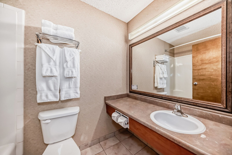 Bathroom 4, Stony Plain Inn & Suites, Division No. 11