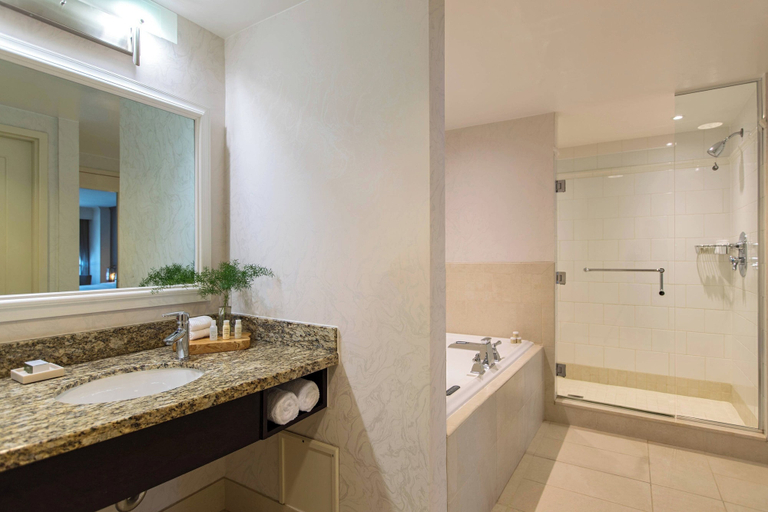 Bathroom 5, Renaissance Raleigh North Hills Hotel, Wake