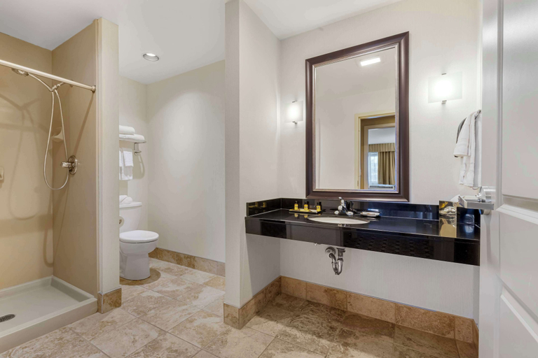 Bathroom 4, Best Western Plus InnTowner Madison, Dane