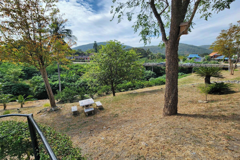 Scenery 26