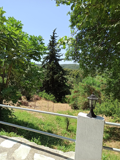 5, Casa de la Fuente, Thessaly