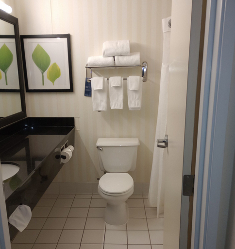 Bathroom 4, Fairfield Inn & Suites by Marriott Canton, Stark