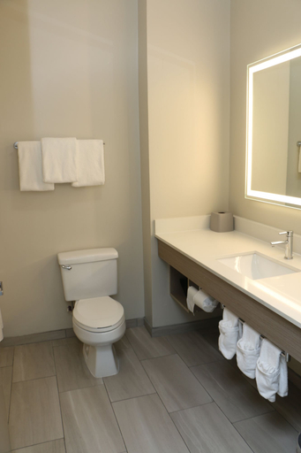 Bathroom, Holiday Inn Express & Suites ALBEMARLE by IHG, Stanly