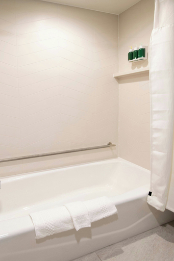 Bathroom 3, Fairfield by Marriott Edmonton International Airport, Division No. 11