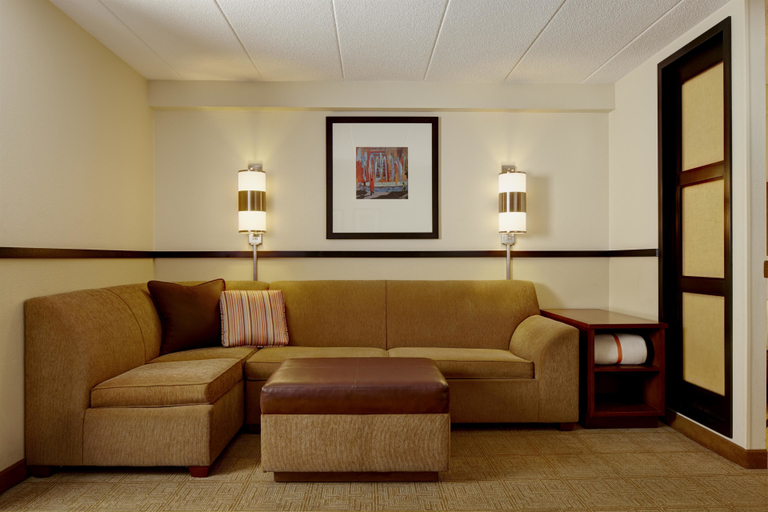 Public Area 2, SpringHill Suites by Marriott Atlanta Perimeter Center, Fulton