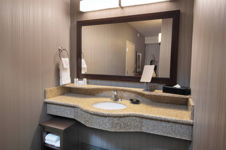 Bathroom 4, Courtyard by Marriott Atlanta McDonough, Henry