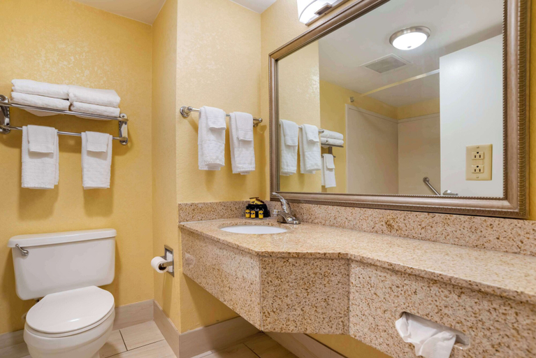 Bathroom 5, Best Western Plus Oak Mountain Inn, Shelby