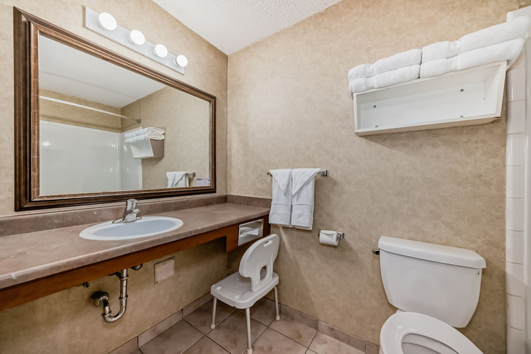 Bathroom 4, Stony Plain Inn & Suites, Division No. 11