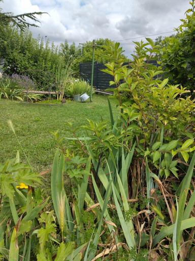 Others 4, Rosemary Cottage, Yonne