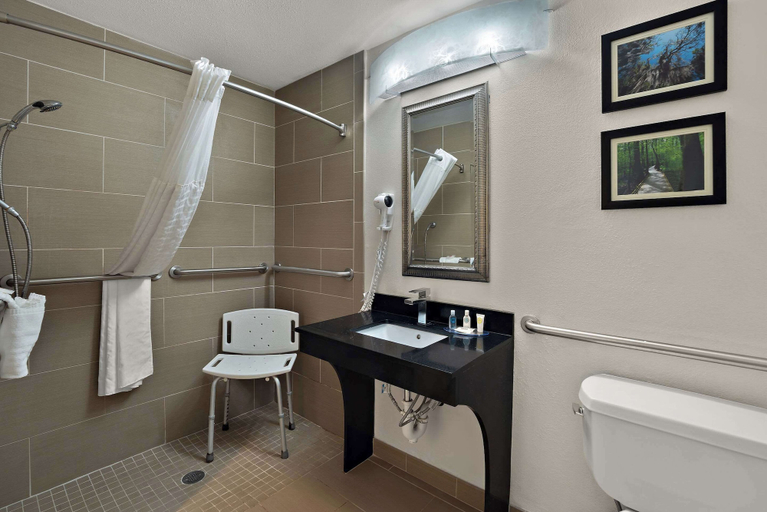 Bathroom 4, Comfort Inn & Suites Santee, Orangeburg